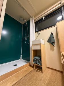 a small bathroom with a shower and a sink at La Tiny De Fy in Aywaille