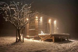 a wooden cabin with a picnic table in the snow at night at La Tiny De Fy in Aywaille