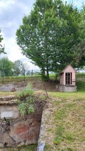a small house in a field with a tree at Domaćinstvo Simović in Duboko