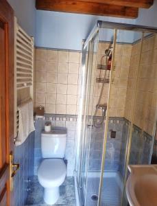 a bathroom with a toilet and a shower and a sink at Casa rural Angelita in Cangas de Onís +24 photos