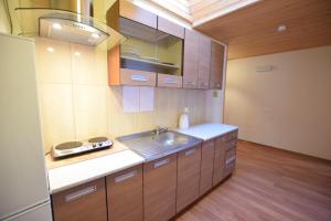 a kitchen with a sink and a stove in it at Pokoje Gościnne Brynkus in Białka Tatrzańska