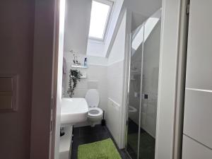 a bathroom with a toilet and a sink and a window at Ferienwohnung Traismauer TOP 2 in Wagram an der Traisen +6 photos