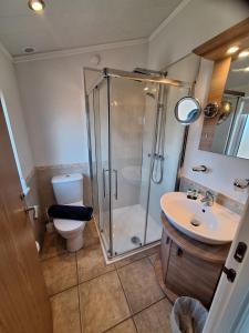 a bathroom with a shower and a toilet and a sink at Bayview Luxury Lodge in Cockburnspath +16 photos