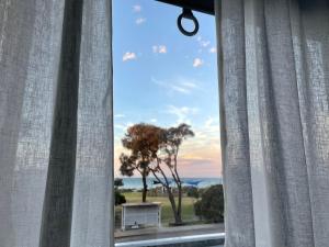 a view of a tree from a window at Rye Pier Apartment in Rye