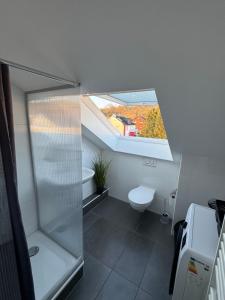 a bathroom with a shower and a toilet and a window at Wohnung in Kirchheim in Kirchheim unter Teck