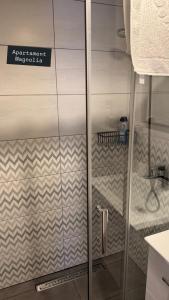a shower with a glass door in a bathroom at Apartamenty Jaskinia Solna in Ruda Śląska +44 photos