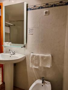 a bathroom with a sink and a toilet and a mirror at Hotel Acebo & Natura in Castiello de Jaca