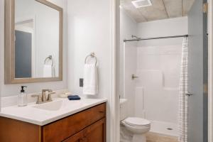 a bathroom with a sink and a toilet and a shower at Charming Appleton Condo Downtown Modern Loft in Appleton
