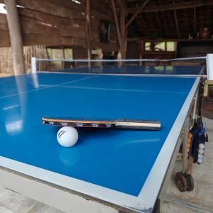 a pool table with a cue and a ball on it at Vakantiewoning DRP29 in Zelem
