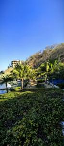 a group of palm trees on a beach at Oceanfront Designer Penthouse, Private Pool in Ixtapa