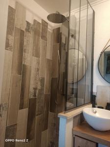 a bathroom with a sink and a shower at Duplex vue mer et accès plage in Arcachon