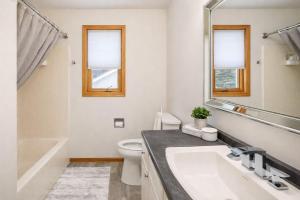 a bathroom with a sink and a toilet and a mirror at East Side 3 Br 2 full bath King Bed in Appleton