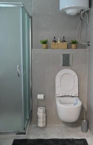 a small bathroom with a toilet and a shower at Stan na dan Pancevo 3 in Pančevo +33 photos