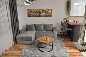 a living room with a couch and a table at Stan na dan Pancevo 3 in Pančevo