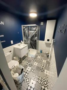 a bathroom with a shower and a toilet and a sink at Le nid de la Brenne in Luant +8 photos