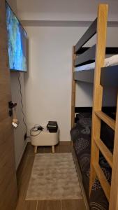 a room with a bunk bed and a flat screen tv at L Ecrin des Cimes 6 voyageurs in Arâches-la-Frasse +4 photos