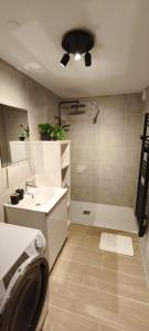 a bathroom with a shower and a sink and a washing machine at L Ecrin des Cimes 6 voyageurs in Arâches-la-Frasse