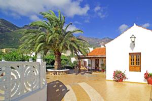 a courtyard with a palm tree and a building at Casa Rural Milagrosa in Valsequillo