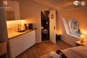 a small kitchen with a sink and a counter at Mulhouse City Loft in Mulhouse