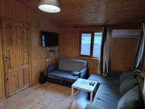 a living room with a couch and a table at Domek letniskowy in Wójcin