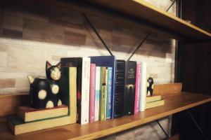 a shelf with books and a cat toy on it at Casa Vacanze Sotto Piazza in Gualdo Tadino