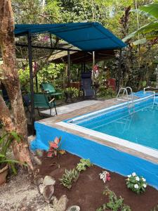 a swimming pool with a blue umbrella and some plants at Papaya Wildlife Lodge in Cahuita