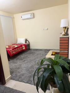 a room with a bed and a plant in a room at Room In Madinah in Quai
