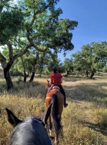 eine Person, die auf einem Pferd im Feld reitet in der Unterkunft Equiliberdade in Almeirim
