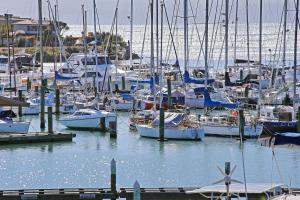 a bunch of boats docked in a harbor at The Bay Riveria in Napier