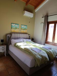 a bed in a bedroom with a window at Tesoro of Ithaca in Stavros