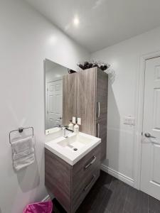 a bathroom with a sink and a mirror at La Première vue in Magog-Orford +5 photos