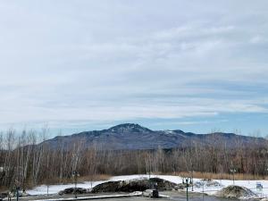 a mountain in the distance with snow and trees at La Première vue in Magog-Orford