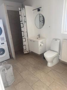 a bathroom with a toilet and a sink and a mirror at Havfruens Lejlighed in Rødby