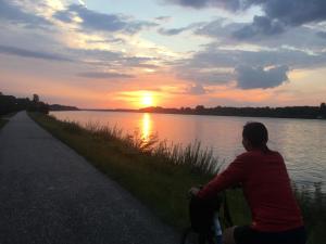 Przyroda w pobliżu tego kempingu