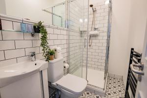 a bathroom with a shower and a toilet and a sink at Superb Studio With Marina Views- WiFi Included in Dublin +9 photos