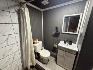 a bathroom with a toilet and a sink at Hostal Suomi in Los Ángeles +103 photos