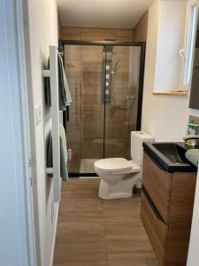 a bathroom with a shower with a toilet and a sink at CLIMATISÉ appartement design hypercentre Gare & espresso offert in Castelnaudary +26 photos
