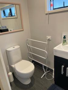 a bathroom with a white toilet and a sink at Quiet restful unit with seaviews in Auckland +4 photos