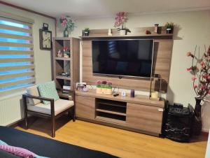 a entertainment center with a television in a living room at Casa amoblada en Punta arenas in Punta Arenas