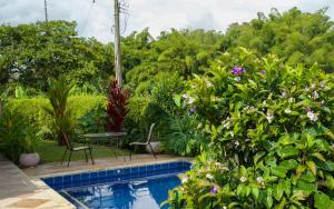 a garden with a swimming pool and plants at Finca La Coqueta Coffee Farm Stay near Filandia in Filandia