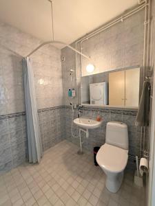 a bathroom with a toilet and a sink at The Treetop Apartment in Turku +16 photos