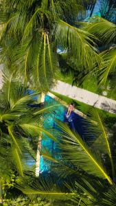 an overhead view of a man standing between palm trees at Pousada Unaí in Porto De Galinhas