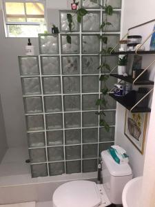 a bathroom with a toilet and a shelf with plants at Casa Bonita GLAM in Castries +24 photos