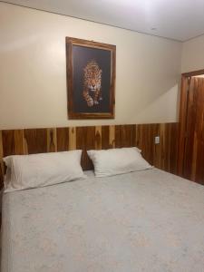 a bedroom with a bed with a picture on the wall at Pousada Safari do Jaguar in Poconé