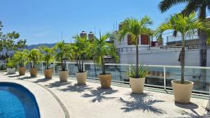 a row of palm trees inront of a swimming pool at Villa Casa blanca Con Alberca privada in Acapulco