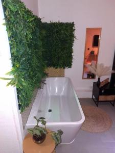 a bathroom with a bath tub with plants on the wall at Le Maloha in Le Gosier