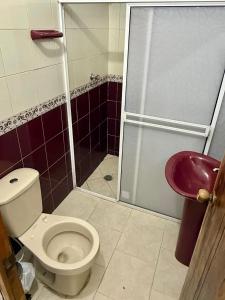 a bathroom with a toilet and a shower and a sink at Casa Mashala in Santa Cruz de Mompox