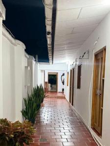 an empty hallway of an office with plants on the floor at Casa Mashala in Santa Cruz de Mompox