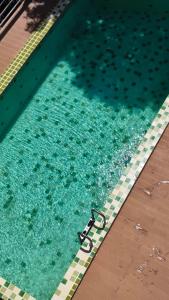 a pair of scissors sitting in a swimming pool at Patra Phuket Private Residence in Ban Nong Chaeng