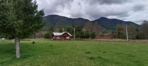 a small red house in a field with a tree at Cabaña La Ondina in Melipeuco